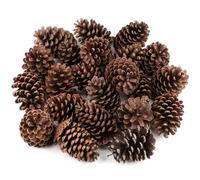 24 Pièces Pommes De Pin Séchées Ornements De Noël Décor À La Main Cônes de Pin pour La Décoration en Vrac Grosses Cônes naturels Ornements