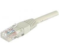 [240670] Dexlan Cordon patch U/UTP CAT 6 7,00 m