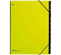 [24129-17] PAGNA Trieur tendan A4, 10 comp. vert tilleul