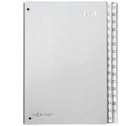 [24329-14] PAGNA Classeur Pult Color, format A4, 1 -31, 31compartiments