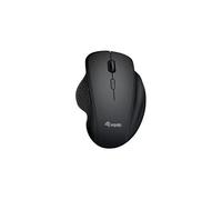 245121 souris Universel Droitier RF sans fil + Bluetooth Optique 1600 DPI