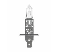 Neolux Ampoule halogène H1 12V 55W, 1 pièce