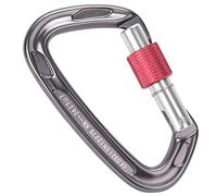 24KN Ecalade Mousqueton à Verrouillage en Aluminium Professionnelle pour d'escalade(Gray)