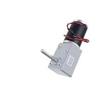 24V Single 120RPM 5882-50ZY Single Long Output Shaft Worm Gear DC Reduction electronic starter High Torque Self-locking