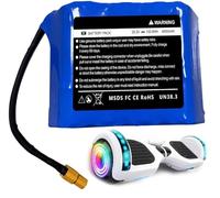 25.2 V 4400 mAh Batterie Ebike pour 100W 200W 300W Moteur Scooter Vélo Electrique, Batterie E-Bike 25.2 V 4AH Hoverboard Batteries pour vélo 25.2 V avec Chargeur 25.2V 4000mAh