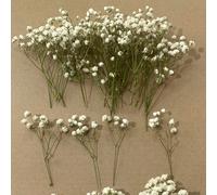 25/50/100/300 pièces Fleurs de bébé souffle de bébé et autres fleurs séchées - Pour le moule de résine, artisanat, bouquet de fleurs blanches ivoire pour accessoire de cheveux, couronne de mariage, va