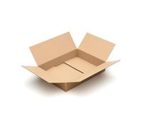 25 cartons 600 x 450 x 100 mm pour expédition DPD et DHL cannelure C