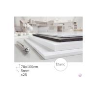 25 Cartons Plume Blanc 5 Mm 700x1000mm - Transotype