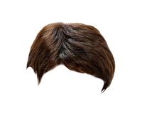 25 cm 10 perruques homme oblique joli cheveux courts et raides Europe États-Unis fibre de mode couvre-tête complète (BW1, taille unique)