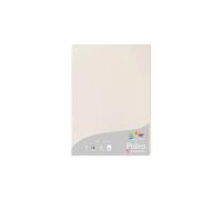 Clairefontaine Papier 24268C A4 210 g/m² Gris Perle – Étui 25 feuilles Premium lisse