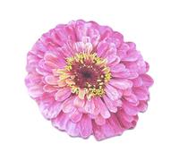 25 feuilles de journaux auto-adhésifs bloc-notes de bureau école fleurs forme bâton notes auto-adhésif mémo note bloc-notes bloc-notes adhésifs