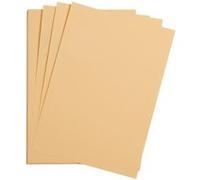 25 feuilles de papier - Abricot - A4 - 270g - Lisse - Dessin, loisirs créatifs - Maya