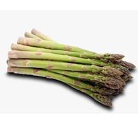 25 graines à semer - Le Grenier d'Abondance - ASPERGE d'Argenteuil hâtive - Asparagus officinalis