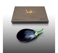 25 graines à semer - Le Grenier d'Abondance - AUBERGINE Noire Brillant Bonica - Spécialité Hybride F1