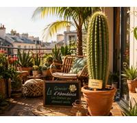 25 graines à semer - Le Grenier d'Abondance - CARNEGIEA GIGANTEA - Saguaro
