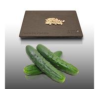 25 graines à semer - Le Grenier d'Abondance - CONCOMBRE Marketer - Cucumis sativus