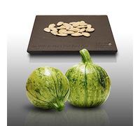 25 Graines À Semer - Le Grenier D'abondance - Courgette Ronde De Nice - Curcubita Pepo
