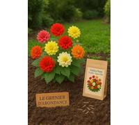 25 graines à semer - Le Grenier d'Abondance - Dahlia Nain Double Opéra Mix