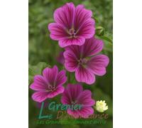 25 graines à semer - Le Grenier d'Abondance - Grande Mauve - Malva sylvestris
