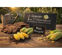 25 graines à semer - Le Grenier d'Abondance - Maïs Minigold - Zea mays