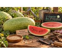 25 graines à semer - Le Grenier d'Abondance - Pastéque Charleston Gray - Citrullus lanatus