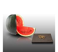 25 graines à semer - Le Grenier d'Abondance - PASTEQUE Sugar Baby - Citrullus lanatus