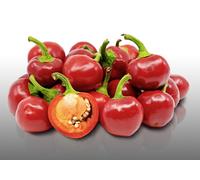 25 Graines À Semer - Le Grenier D'abondance - Piment Cerise Piquant - Capsicum Annuum