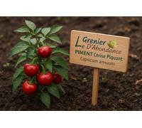 25 graines à semer - Le Grenier d'Abondance - PIMENT Cerise Piquant - Capsicum Annuum
