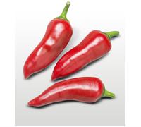 25 Graines À Semer - Le Grenier D'abondance - Piment Gorria - Capsicum Annuum