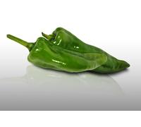 25 graines à semer - Le Grenier d'Abondance - POIVRON Corno di toro - Capsicum annuum