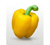25 graines à semer - Le Grenier d'Abondance - POIVRON Jaune California - Capsicum annuum