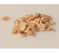 25 Graines à semer - Le Grenier d'Abondance - POIVRON Peleus - Capsicum annuum