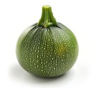 25 Graines de Courgette Ronde - SemiSauvage Permaculture