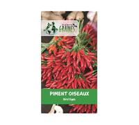 25 graines de piment oiseau rouge - bird's eye chili seeds - variété puissante et productive
