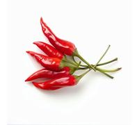 25 Graines de Piments Oiseau - SemiSauvage Permaculture
