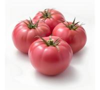 25 Graines de Tomate Rose de Berne - SemiSauvage Permaculture