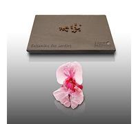 25 Graines Fleurs À Semer - Le Grenier D'abondance - Balsamine Des Jardins - Impatiens Walleriana