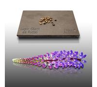 25 Graines Fleurs À Semer - Le Grenier D'abondance - Lupin Géant De Russel Varié H. 1m - Lupinus