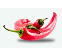 25 graines à semer - Le Grenier d'Abondance - PIMENT ROUGE Long ordinaire - Capsicum annuum