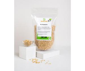 25 KG Herstellergebinde Bio Noix Grade A1 Fein & Aromatique