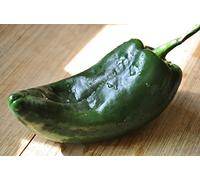 25 Pasilla Ancho Graines poblano doux Chili Chili Pepper, Capsicum annuum, Chilaca