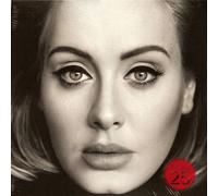 25 Vinyle
