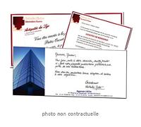 250 cartes de visite recto verso - 8,5 x 5,4 mm…