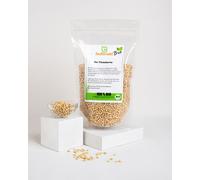 Graines De Pin Bio Buxtrade Grade A1 100 g, 250 g, 500 g, 1 kg, 2 kg