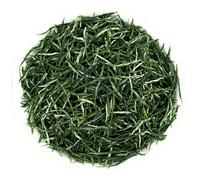 250 g de thé vert Xinyang Maojian Thé Mao Jian chinois aromatique