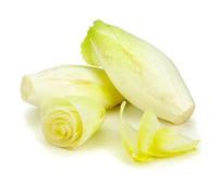 250 Graine D Endive Demi-Hâtive