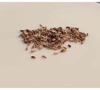 250 graines à semer - Le Grenier d'Abondance - CHICOREE SCAROLE Cornet d'Anjou - Cichorium