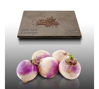 250 Graines À Semer - Le Grenier D'abondance - Navet Rave Auvergne Hâtive - Rapum