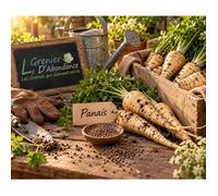 250 graines à semer - Le Grenier d'Abondance - PANAIS - Pastinaca sativa