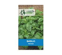 250 Graines Basilic Grand Vert Genovese - Herbe Aromatique Classique Géante - Semences Potagères Intérieur et Extérieur
